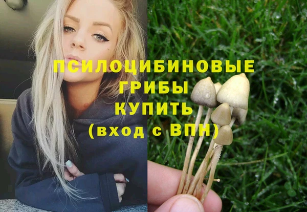 бутират Пересвет