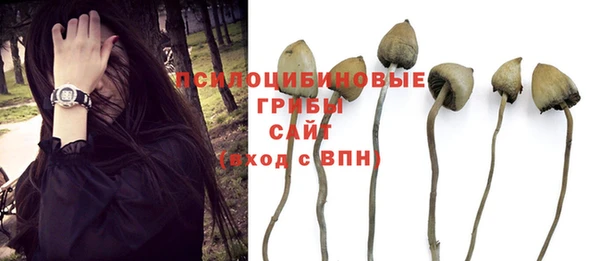 амфетамин Армянск