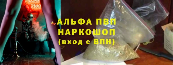 гашик Алексин